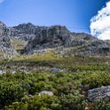 ZAF WC CapeTown 2016NOV13 TableMountain 007 : 2016, 2016 - African Adventures, Africa, Cape Town, November, South Africa, Southern, Table Mountain, Western Cape